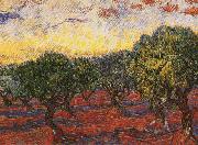 Vincent Van Gogh Olive Grove Sweden oil painting artist